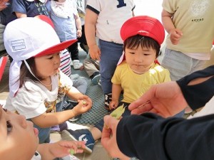 えんどう豆の収穫をしました！（１歳児さん）