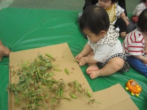 ０歳児さんの５月の様子♡