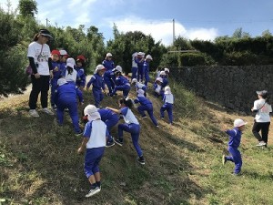 芋掘り・みかん狩りに行きました！（３・４・５歳児さん）