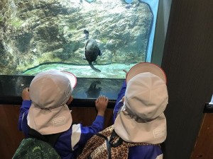 天王寺動物園へ遠足に行きました！（５歳児さん）