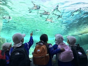 天王寺動物園へ遠足に行きました！（５歳児さん）