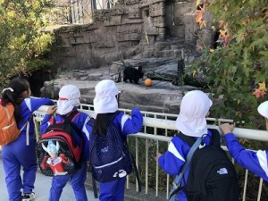 天王寺動物園へ遠足に行きました！（５歳児さん）