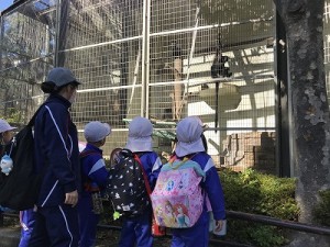 天王寺動物園へ遠足に行きました！（５歳児さん）