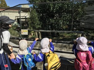 天王寺動物園へ遠足に行きました！（５歳児さん）