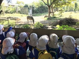 天王寺動物園へ遠足に行きました！（５歳児さん）