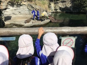 天王寺動物園へ遠足に行きました！（５歳児さん）