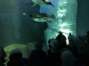 海遊館へ遠足に行きました！（４歳児さん）