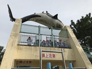 二色の浜公園へ遠足に行きました！（１歳児さん）