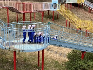 とんぼ池公園へ遠足に行きました！（３歳児さん）