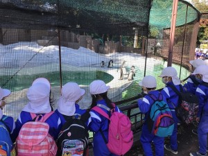 天王寺動物園へ遠足に行きました！