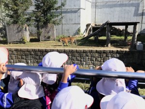 天王寺動物園へ遠足に行きました！