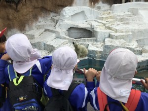 天王寺動物園へ遠足に行きました！