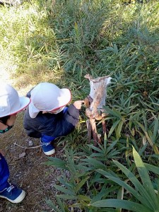 冬山散策に行きました！