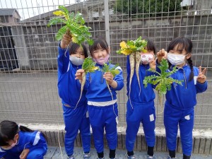 大根の収穫をしました！