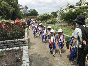 自然史博物館へ見学に行きました！