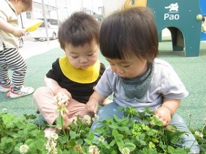 ０歳児さんの朝の会と広場遊びの様子です！