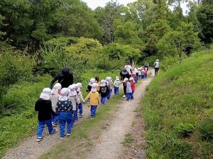 丘陵緑地へ夏山散策に行きました！