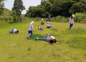 丘陵緑地へ夏山散策に行きました！