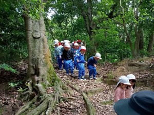 丘陵緑地へ夏山散策に行きました！