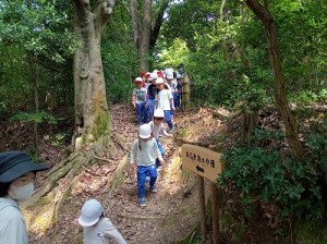 丘陵緑地へ夏山散策に行きました！