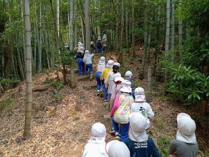 丘陵緑地へ夏山散策に行きました！