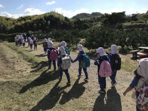 芋掘り・みかん狩りに行きました！