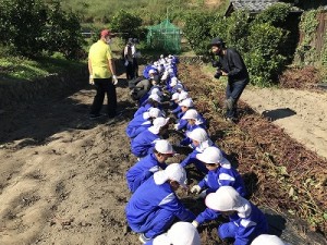 芋掘り・みかん狩りに行きました！