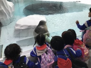 海遊館へ遠足に行ってきました！