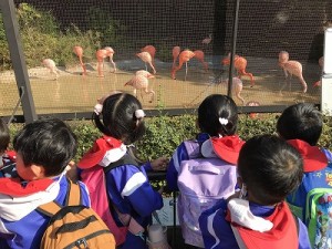 天王寺動物園へ遠足に行きました！