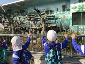 天王寺動物園へ遠足に行きました！