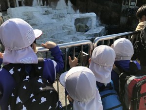 天王寺動物園へ遠足に行きました！