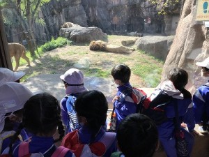 天王寺動物園へ遠足に行きました！