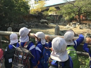 天王寺動物園へ遠足に行きました！