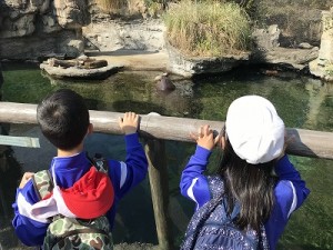 天王寺動物園へ遠足に行きました！