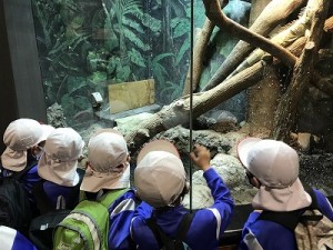 天王寺動物園へ遠足に行きました！