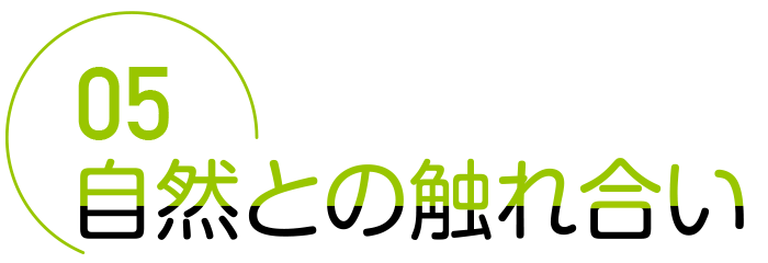 自然との触れ合い