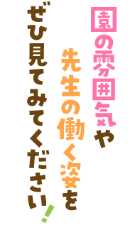 園の雰囲気や先生の働く姿をぜひ見てみてください!
